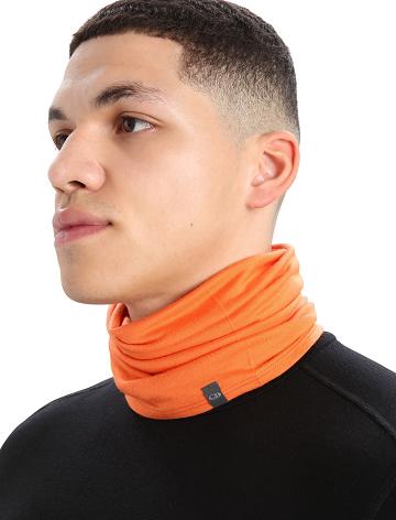 Women's Icebreaker Unisex Merino Flexi Chute Scarves Flash | CA 1493TCEV